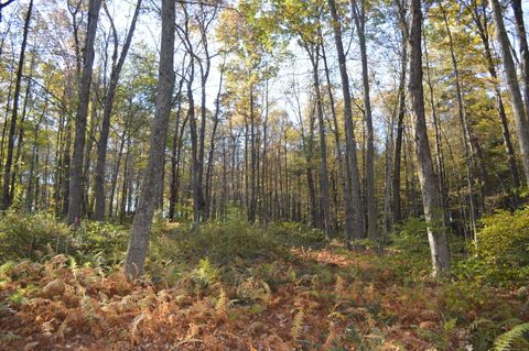 00 Route 171 Lot 1 Woodstock CT 06281