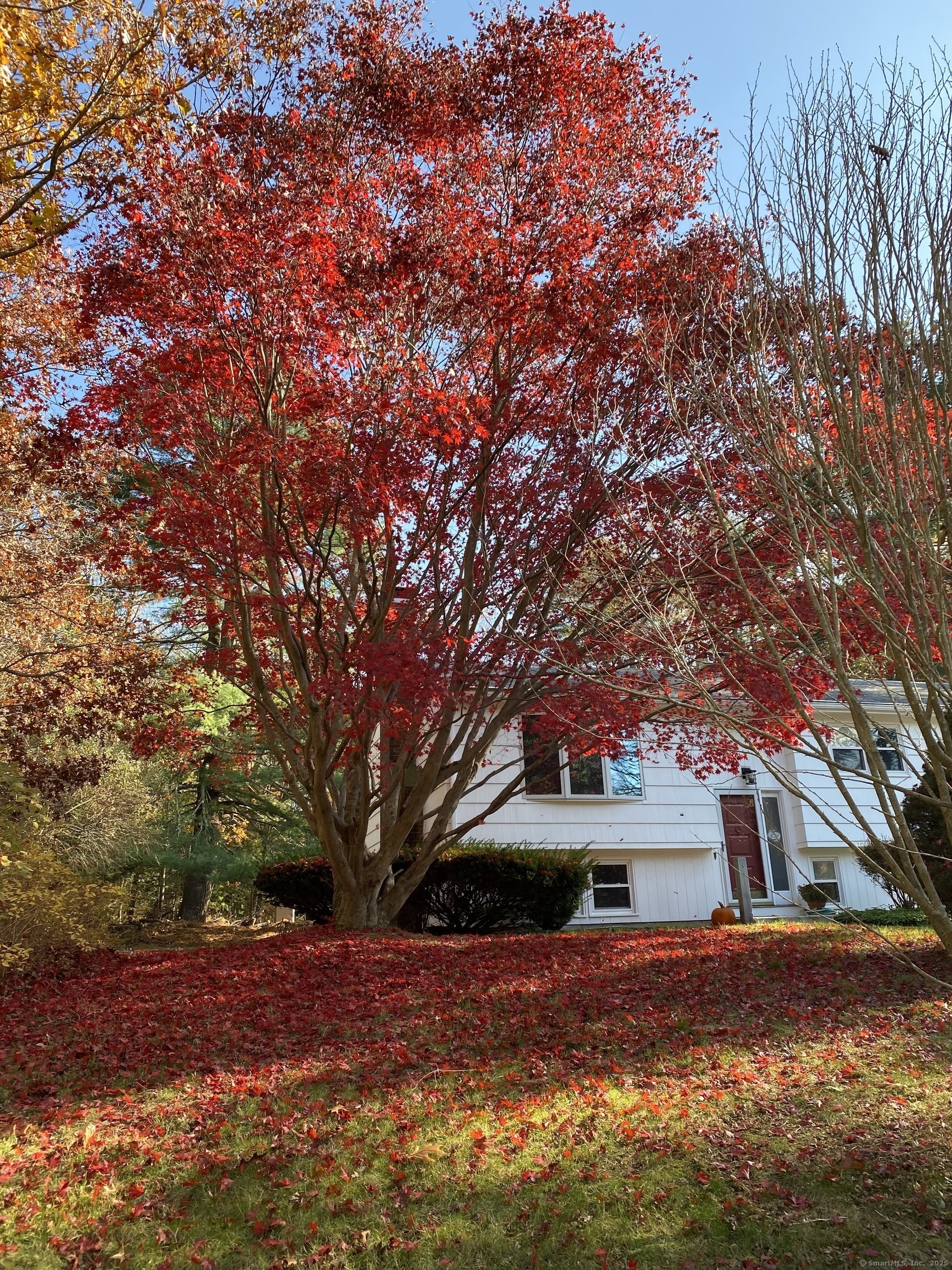 330 Boston Post Road, East Lyme, Connecticut image 2