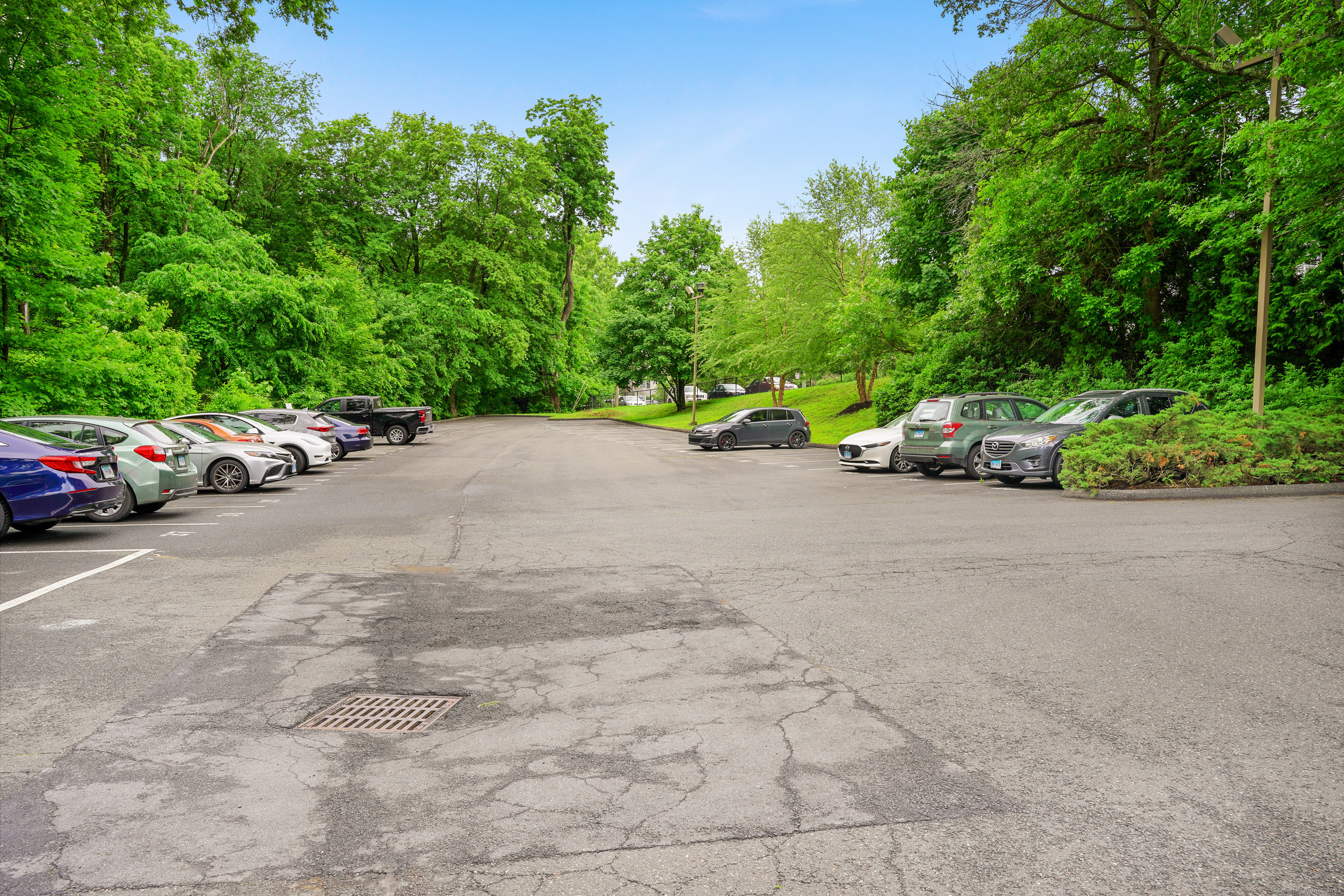 55 Oil Mill Road #APT 38, Danbury, Connecticut image 30