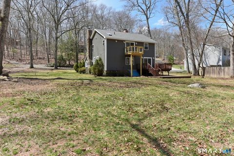 Tiny photo for 156 Wopowog Road, East Hampton, CT 06424 (MLS # 24170089)