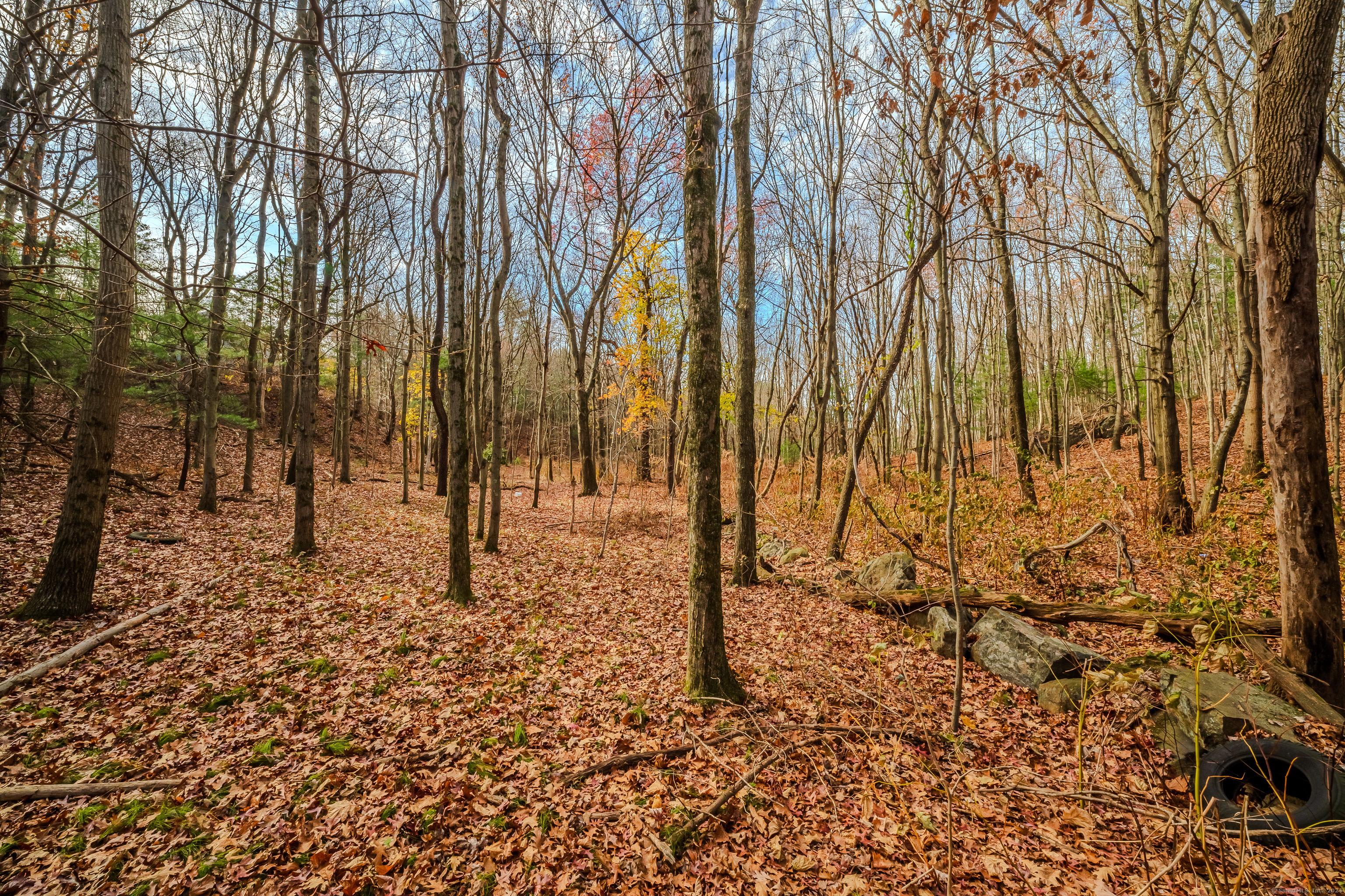 Terry Road, Waterbury, Connecticut image 9