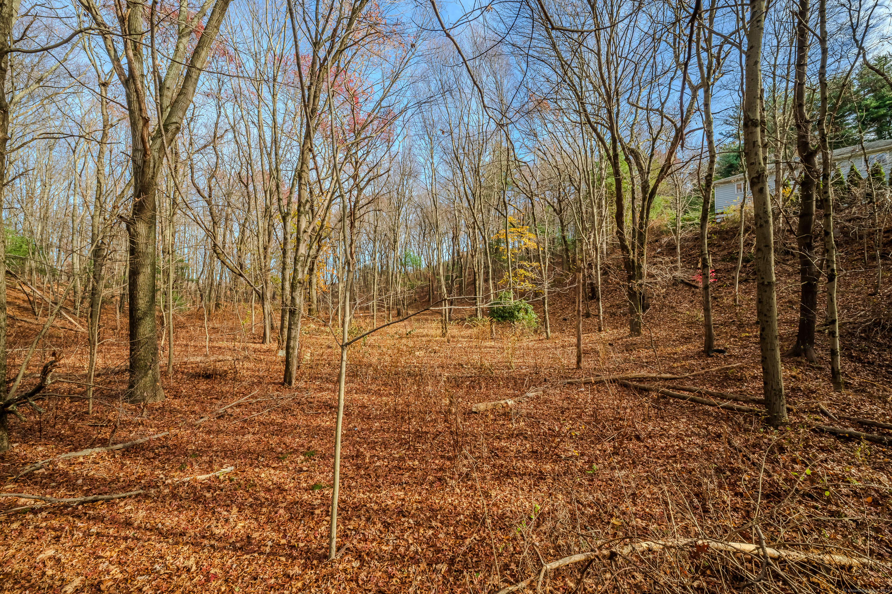 Terry Road, Waterbury, Connecticut image 5