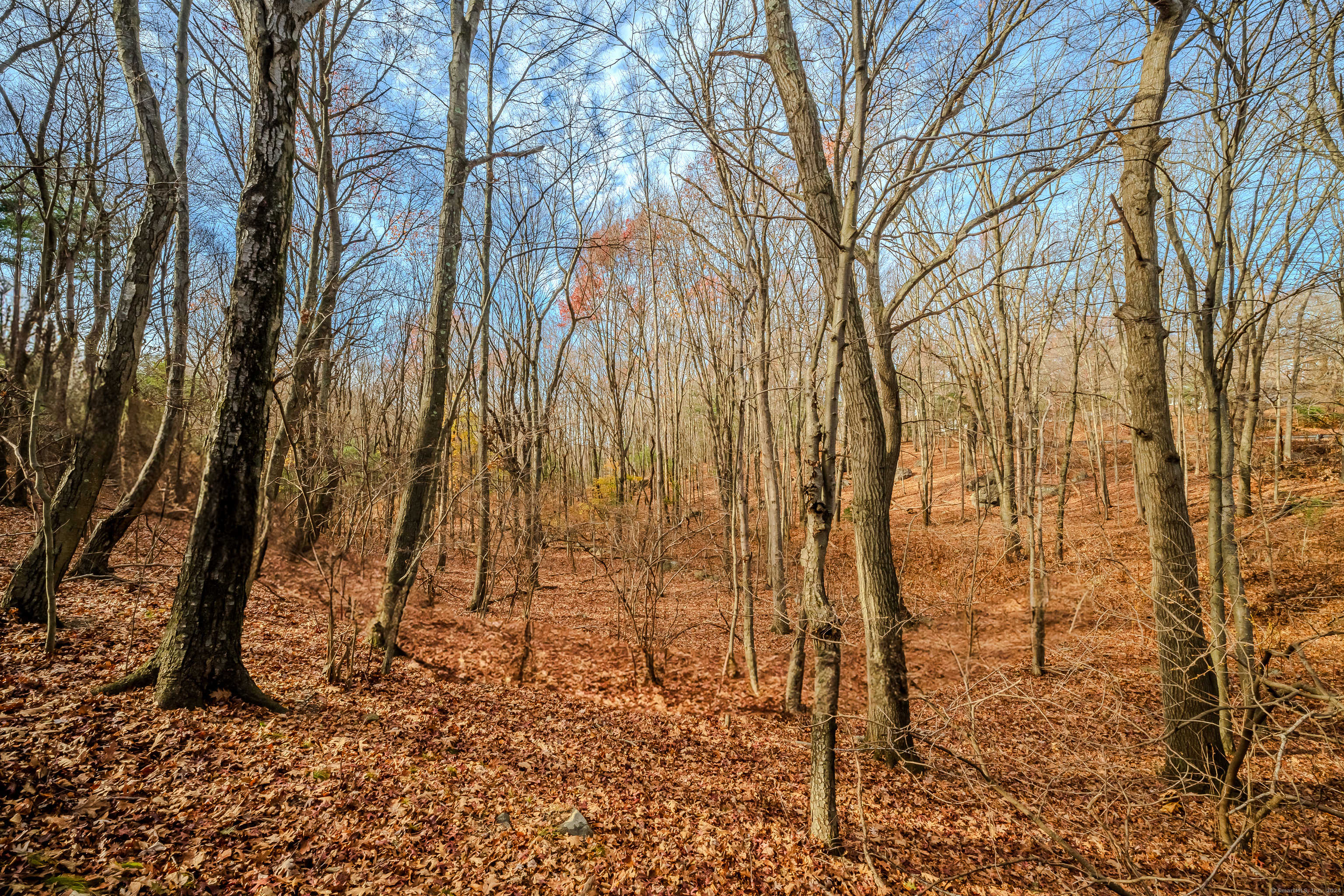 Terry Road, Waterbury, Connecticut image 12