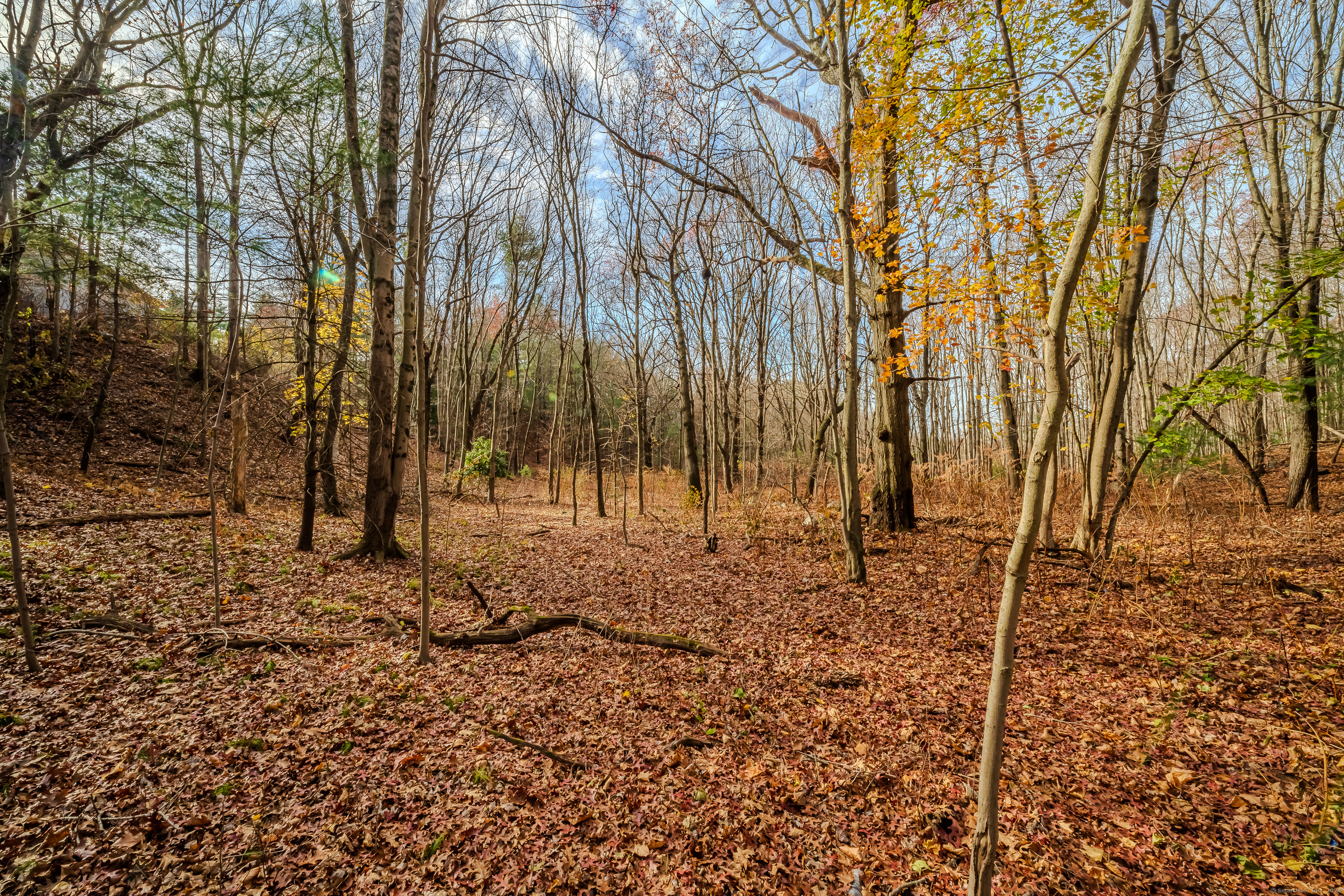 Terry Road, Waterbury, Connecticut image 8