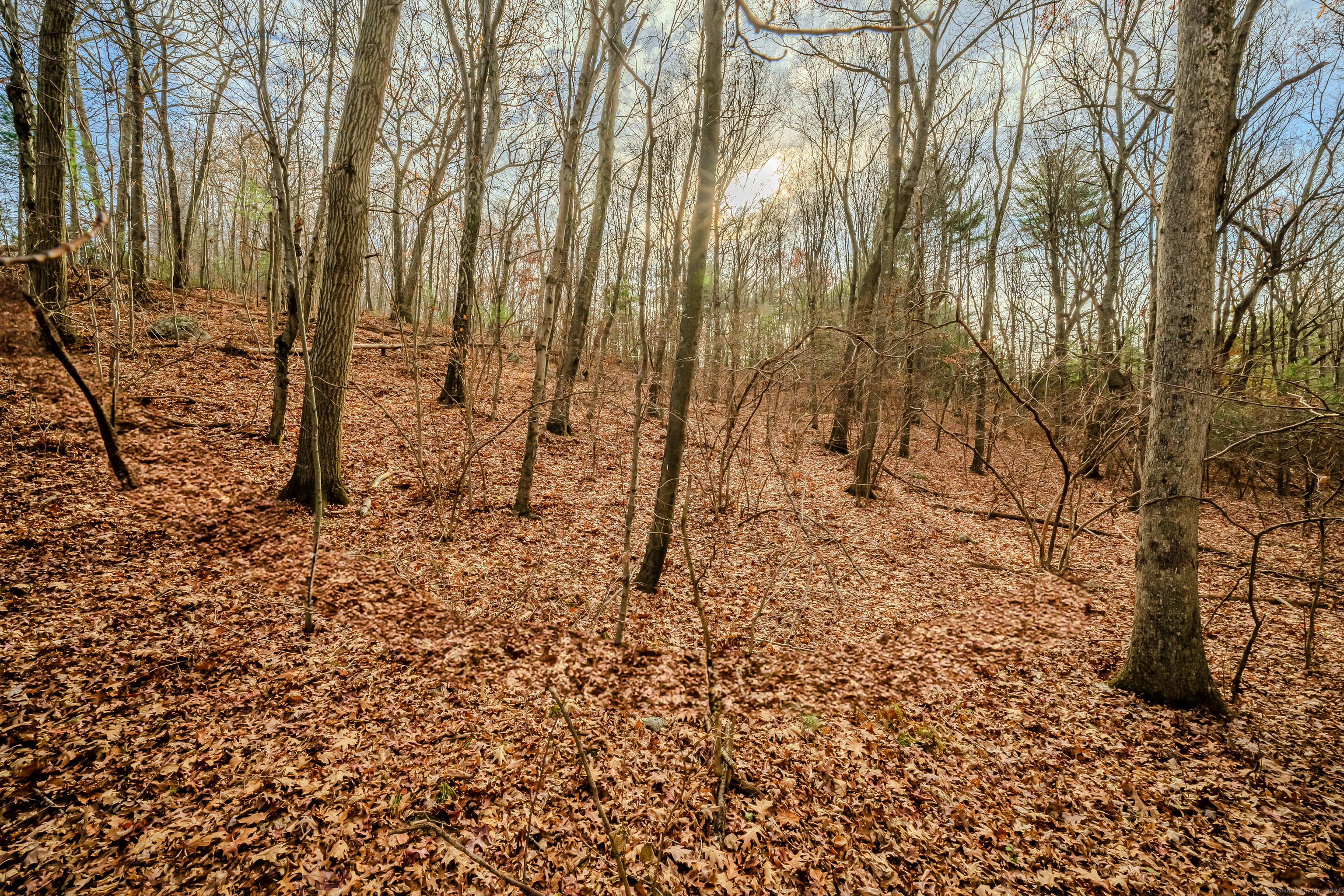 Terry Road, Waterbury, Connecticut image 11