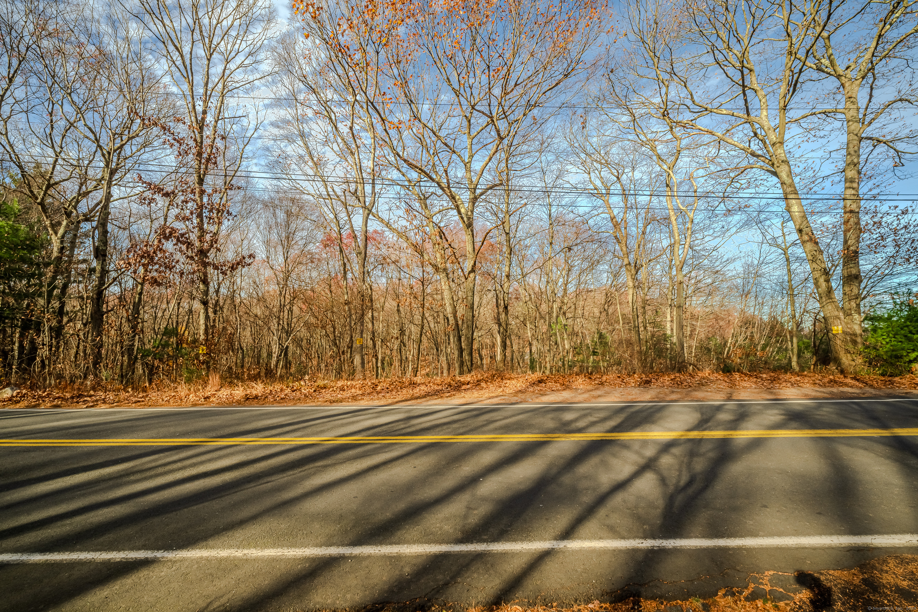 Terry Road, Waterbury, Connecticut image 14