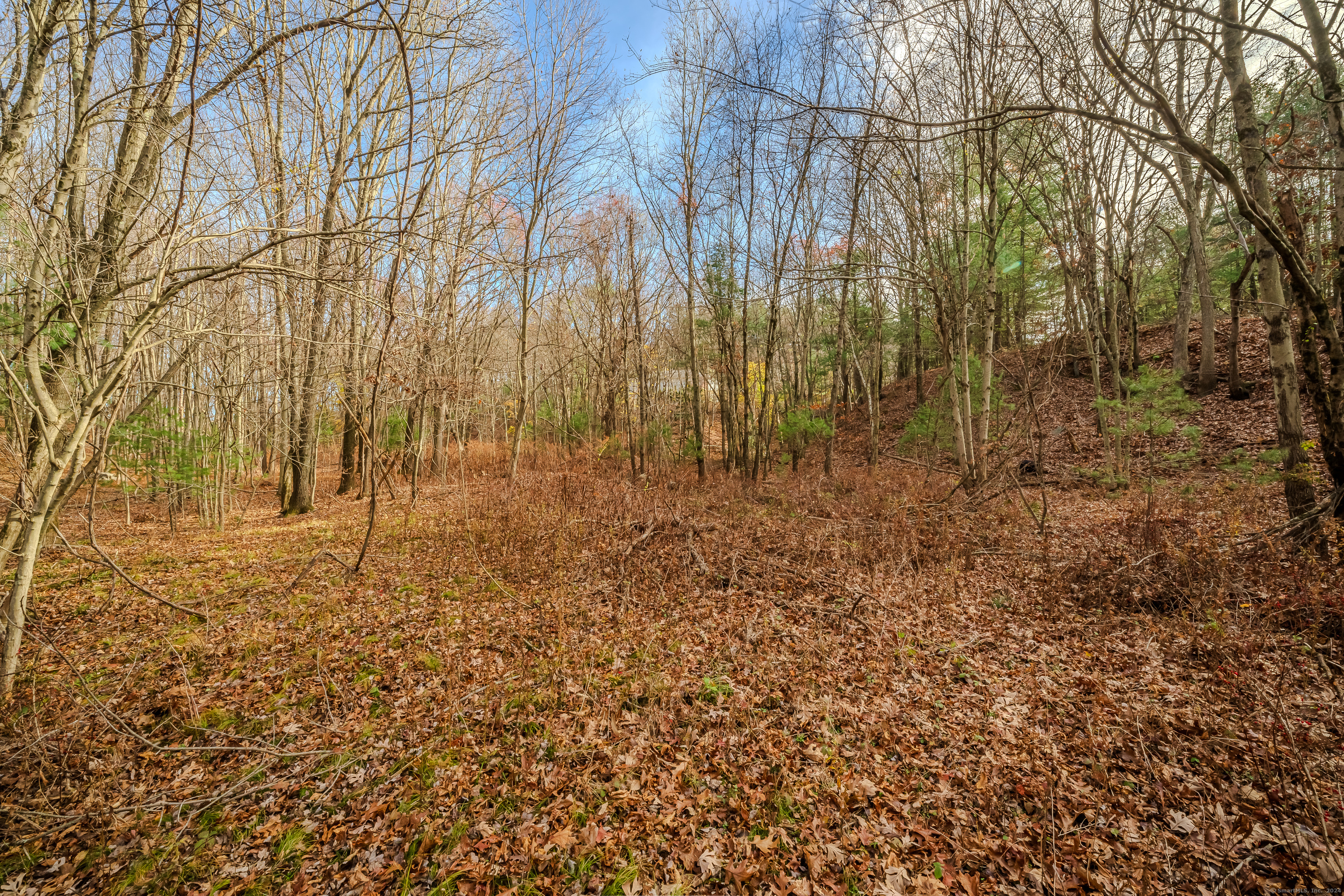 Terry Road, Waterbury, Connecticut image 4