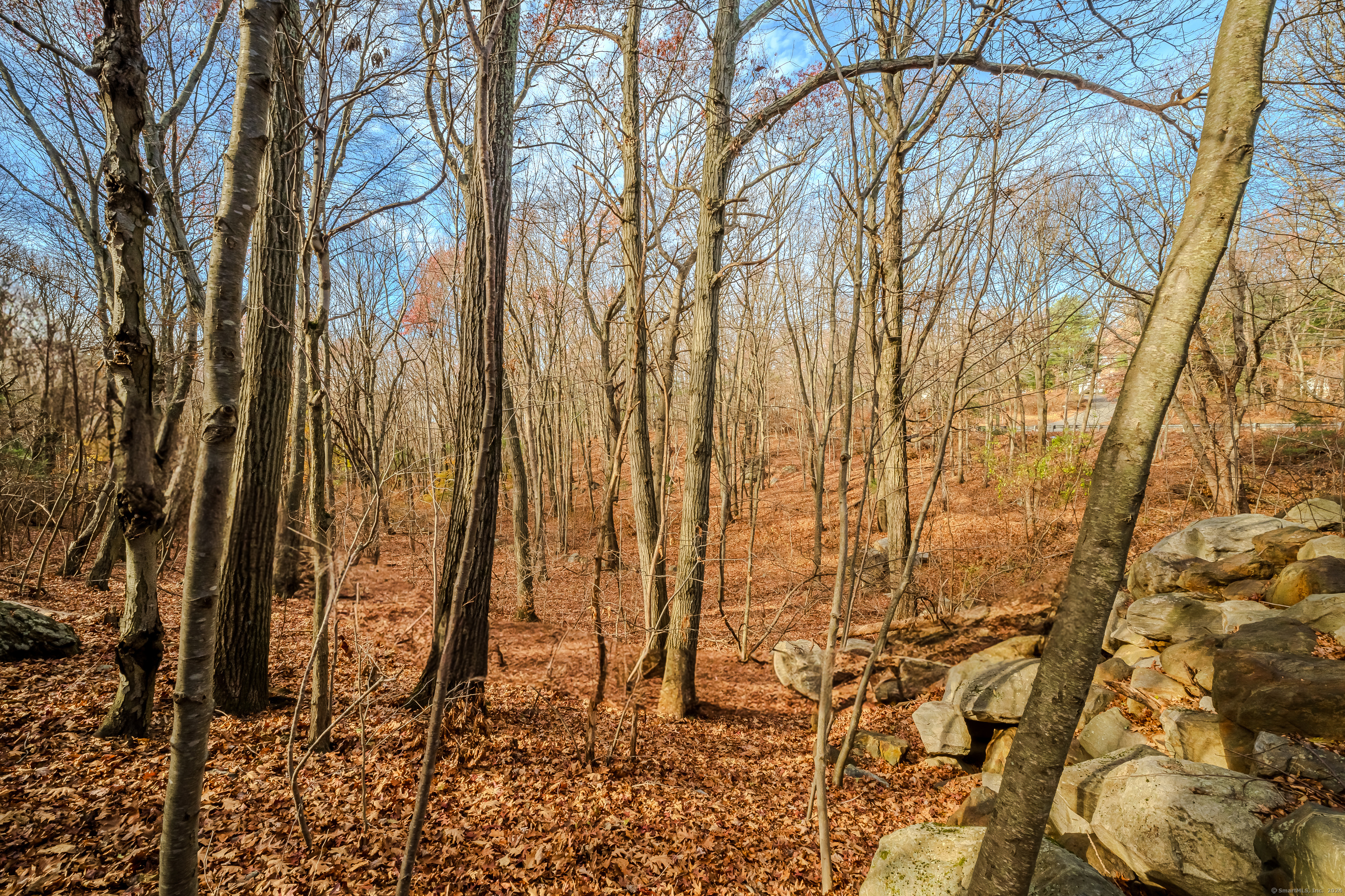 Terry Road, Waterbury, Connecticut image 13