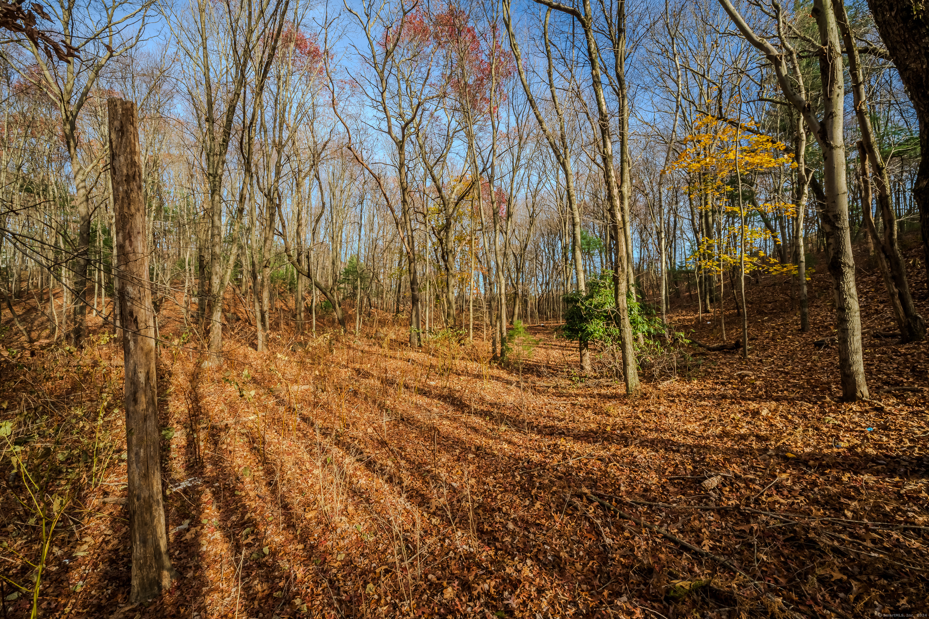 Terry Road, Waterbury, Connecticut image 6