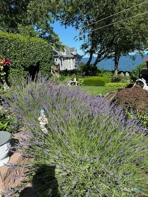 Tiny photo for 11 Woodruff Street, West Haven, CT 06516 (MLS # 24150773)