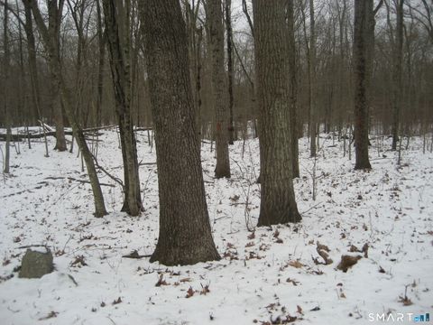 Tiny photo for Salt Rock Road, Sprague, CT 06330 (MLS # 24145549)