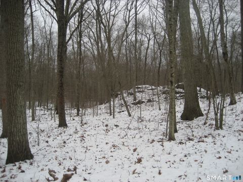 Tiny photo for Salt Rock Road, Sprague, CT 06330 (MLS # 24145549)