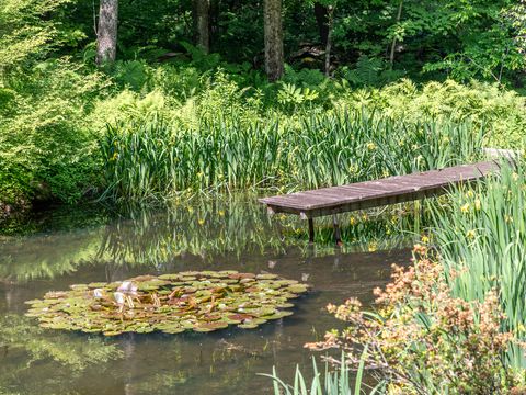 Tiny photo for 203 Brick School Road, Warren, CT 06754 (MLS # 24143992)