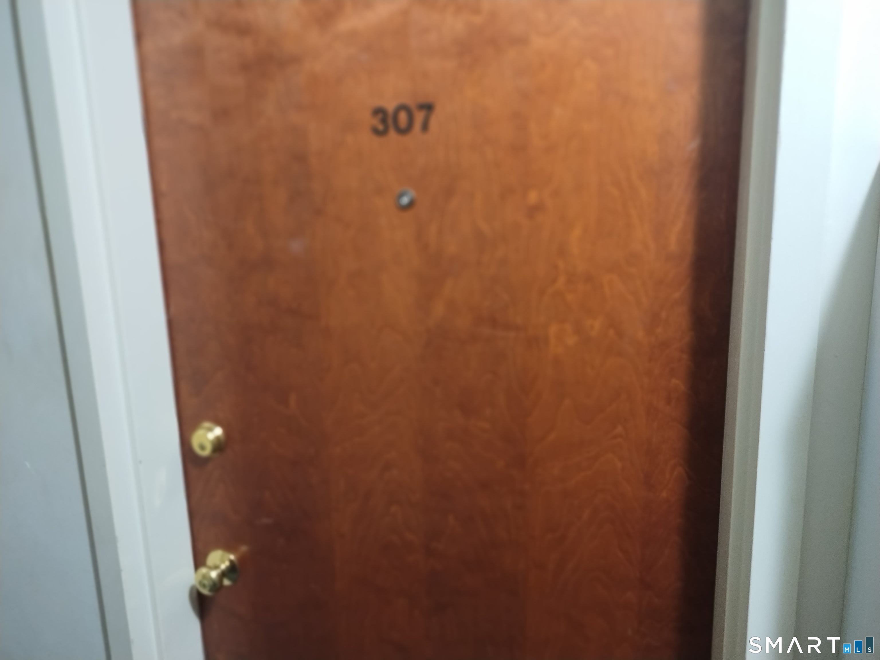 115 Short Beach Road 307