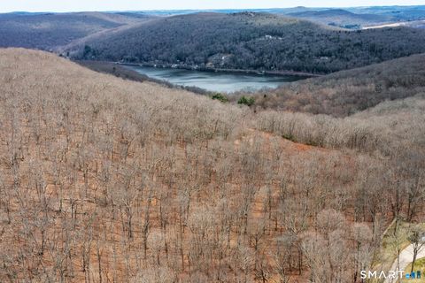 Photo of 197 Tinker Hill Road, Washington, CT 06777 (MLS # 24162303)