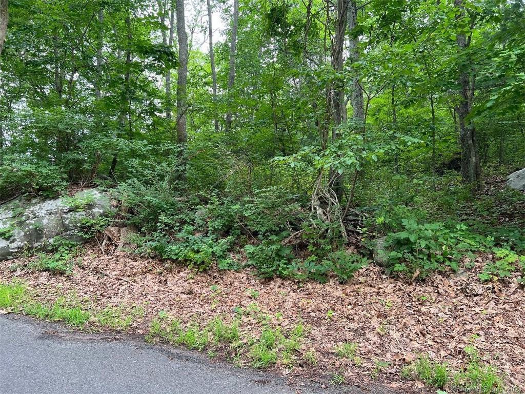 378 Cox Road # 6, Portland, Connecticut image 7