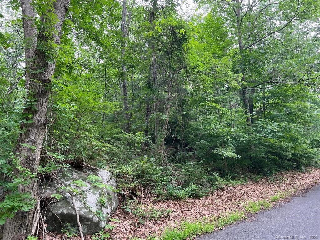 378 Cox Road # 6, Portland, Connecticut image 5