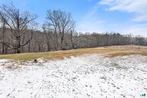 Tiny photo for 25 Lead Mine Road, Ashford, CT 06278 (MLS # 24146213)
