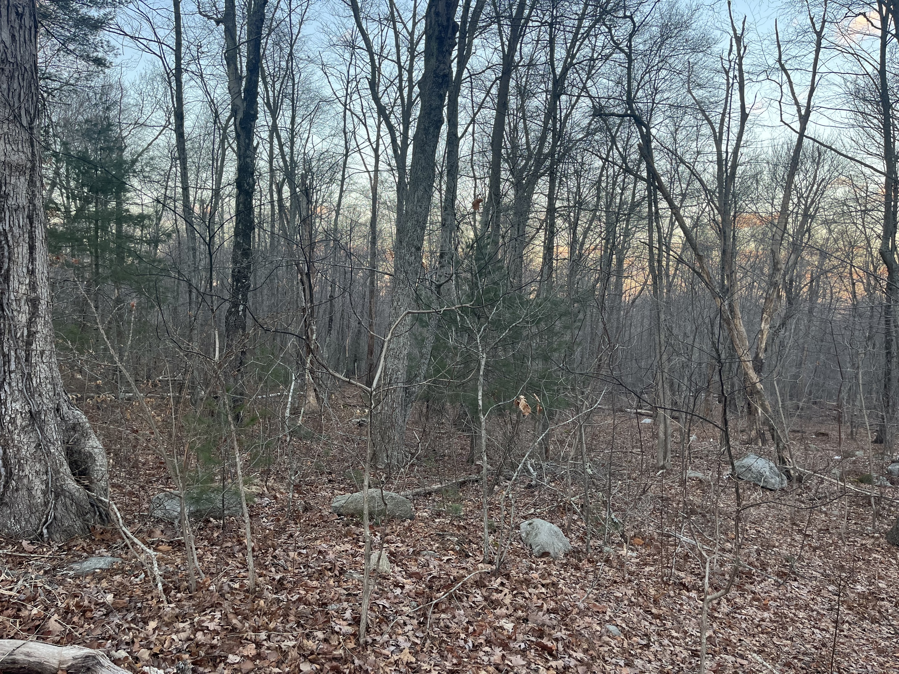 51 Brooklyn Road, Canterbury, Connecticut image 1