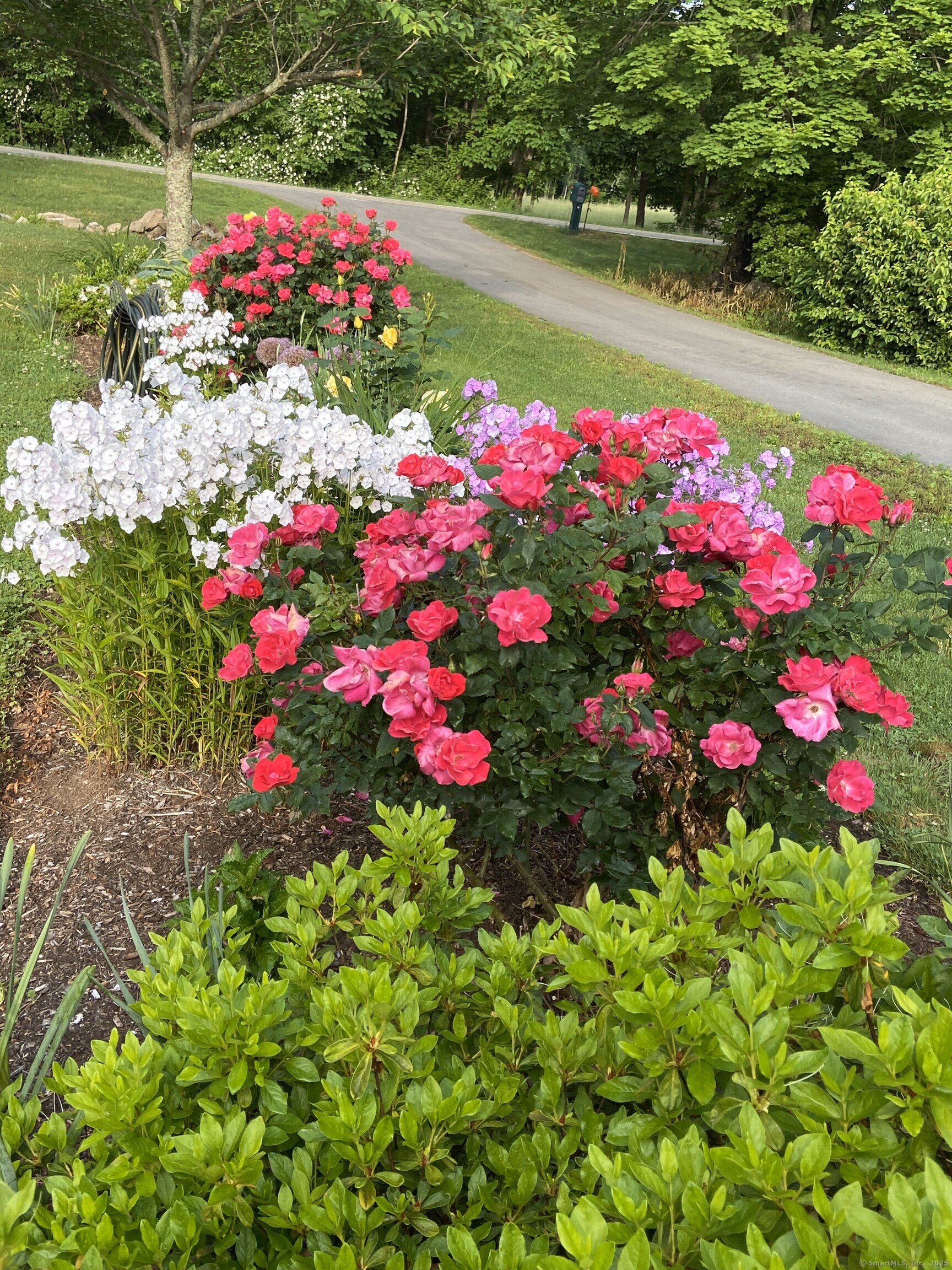 314 Trumbull Highway, Lebanon, Connecticut image 31