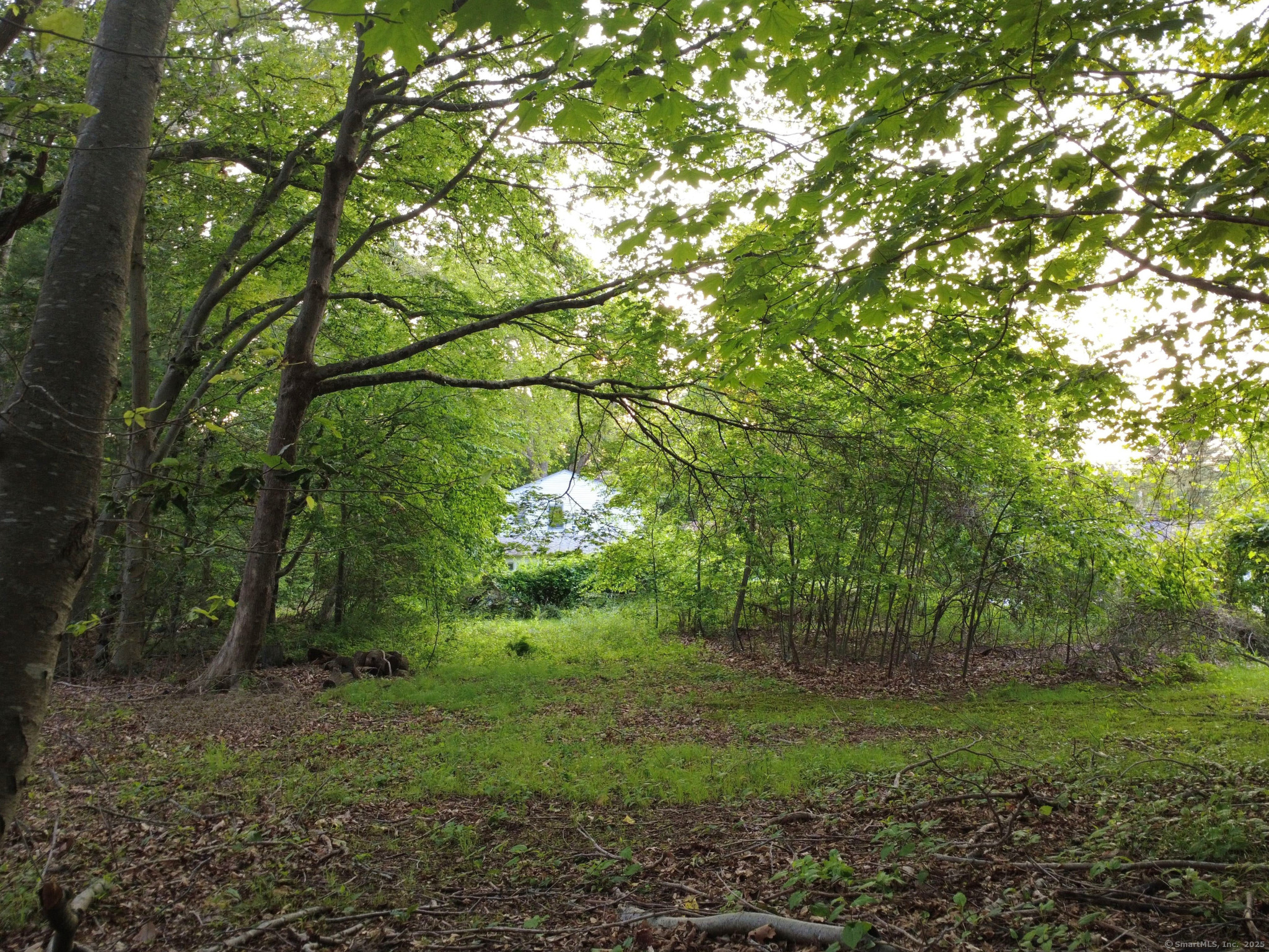 9 Newton Place, Norwich, Connecticut image 14