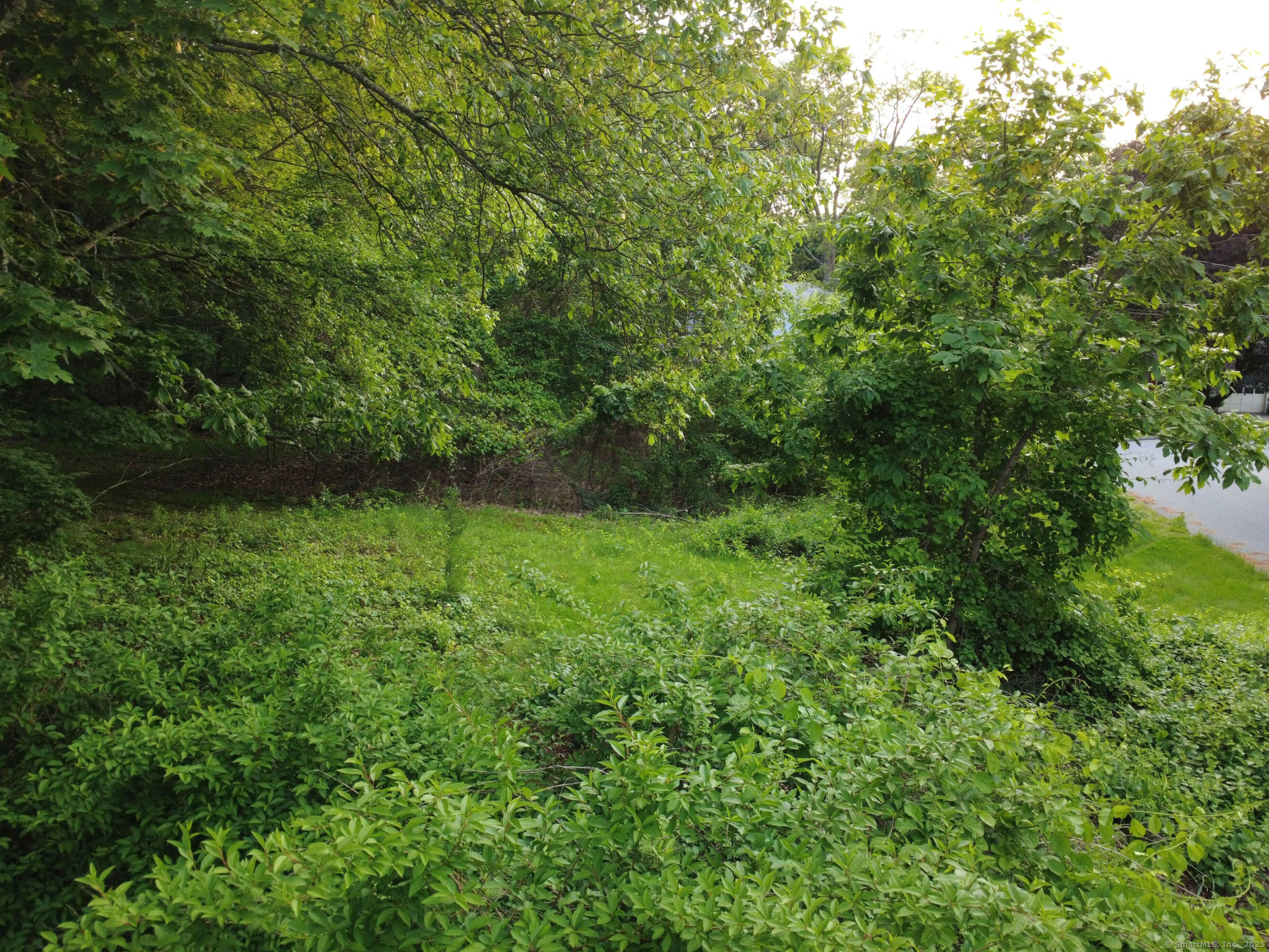 9 Newton Place, Norwich, Connecticut image 17