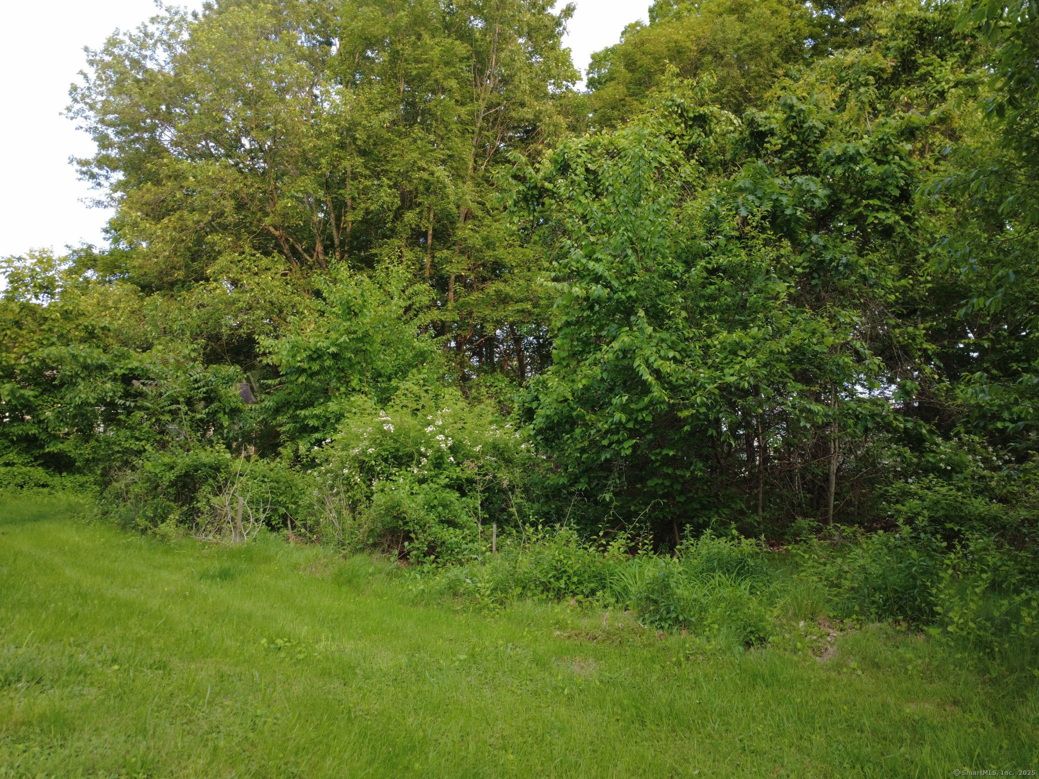 9 Newton Place, Norwich, Connecticut image 12