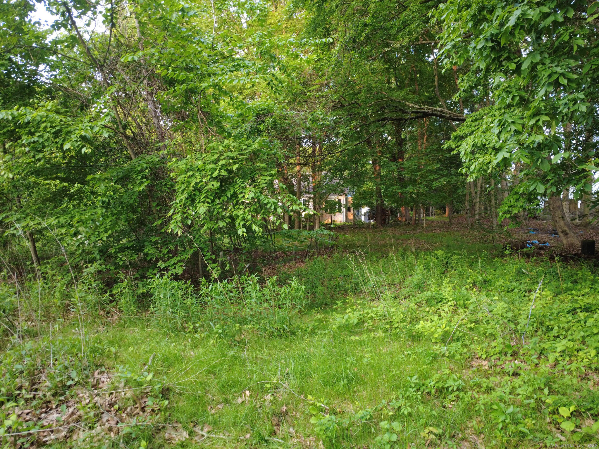 9 Newton Place, Norwich, Connecticut image 15