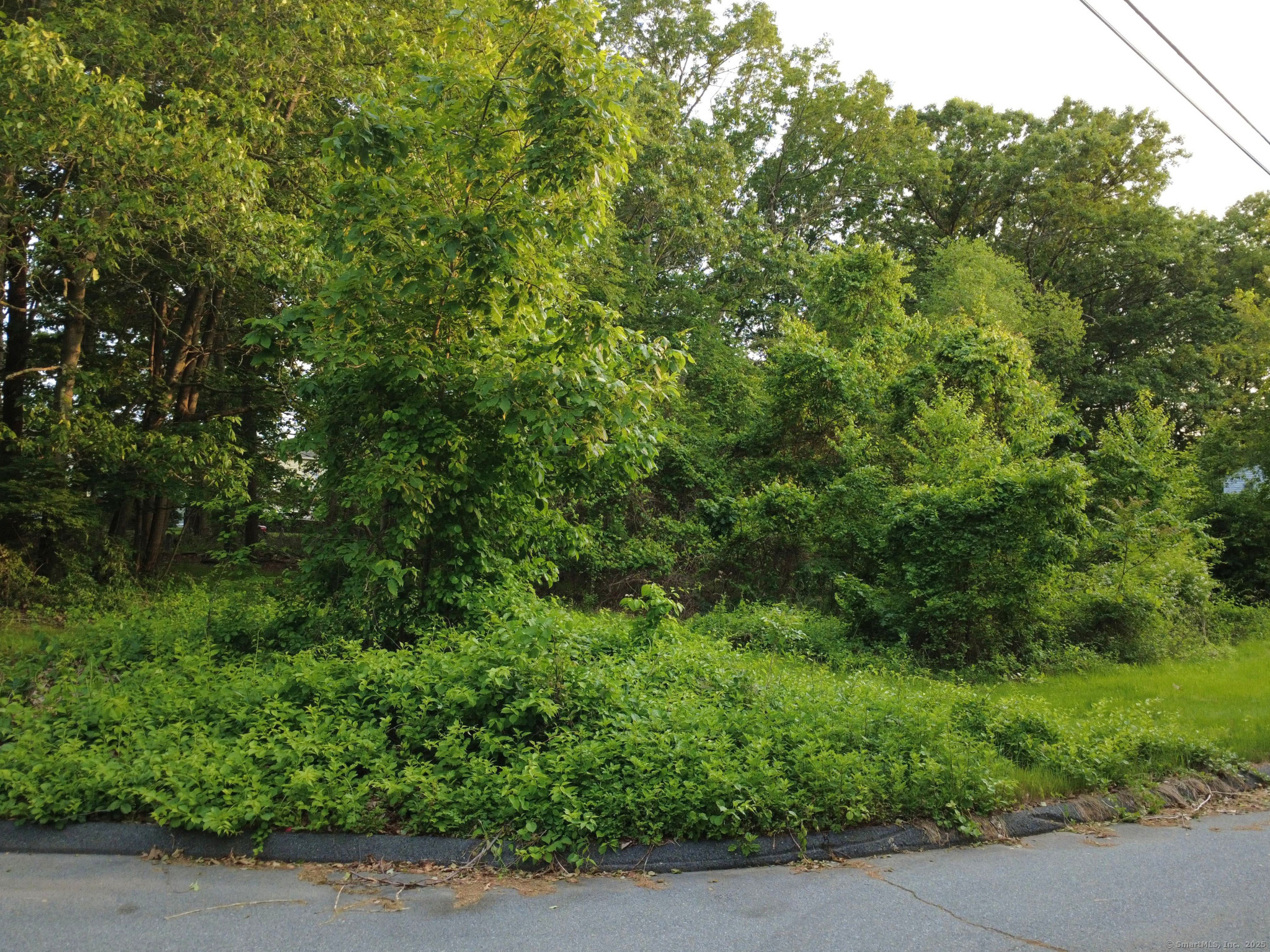 9 Newton Place, Norwich, Connecticut image 10