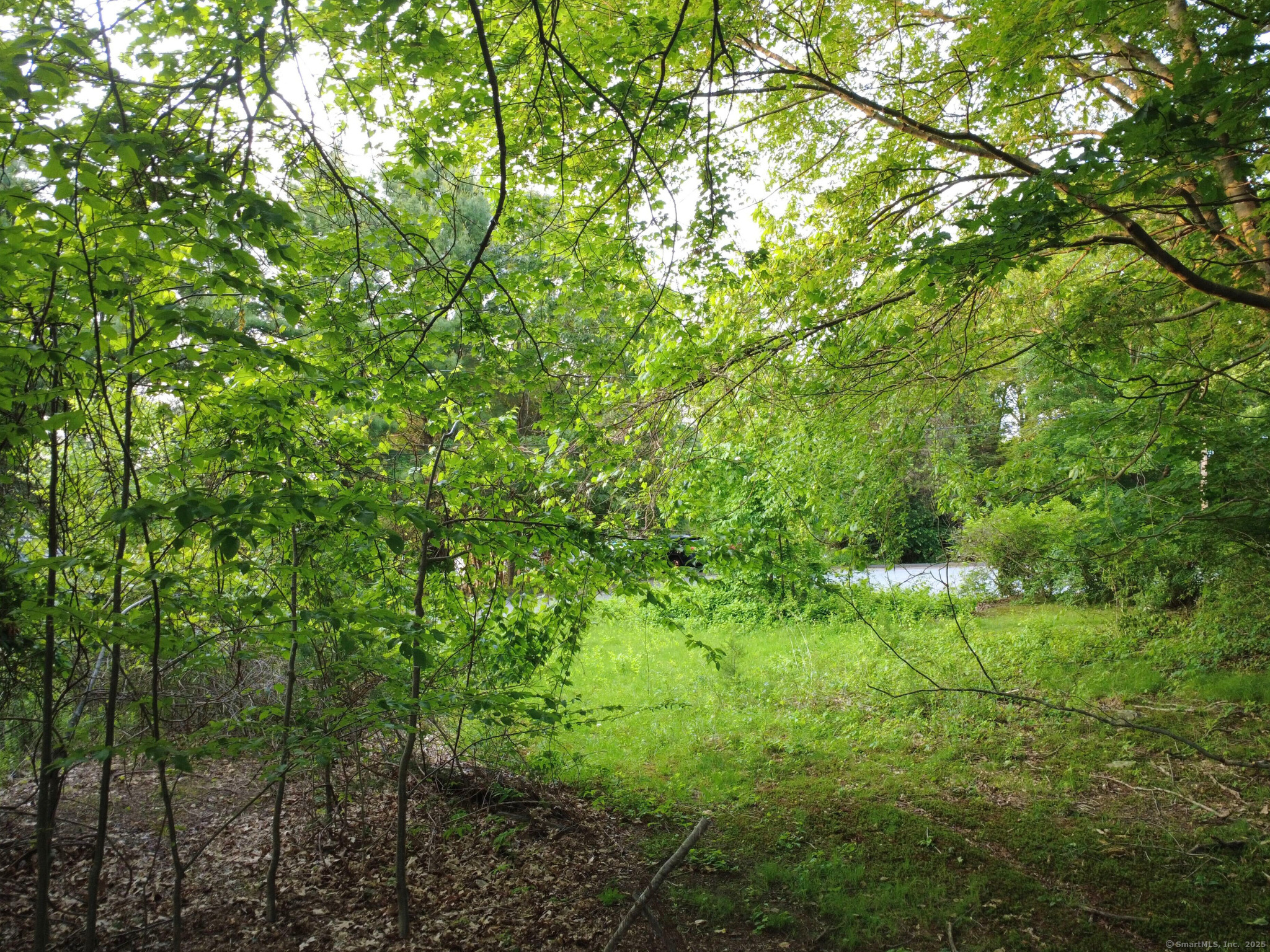 9 Newton Place, Norwich, Connecticut image 16