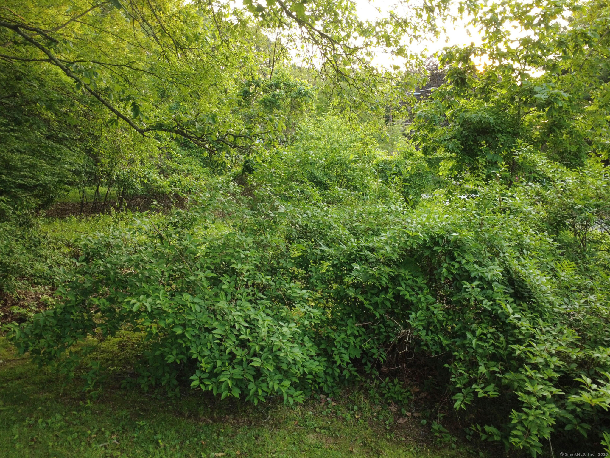 9 Newton Place, Norwich, Connecticut image 18