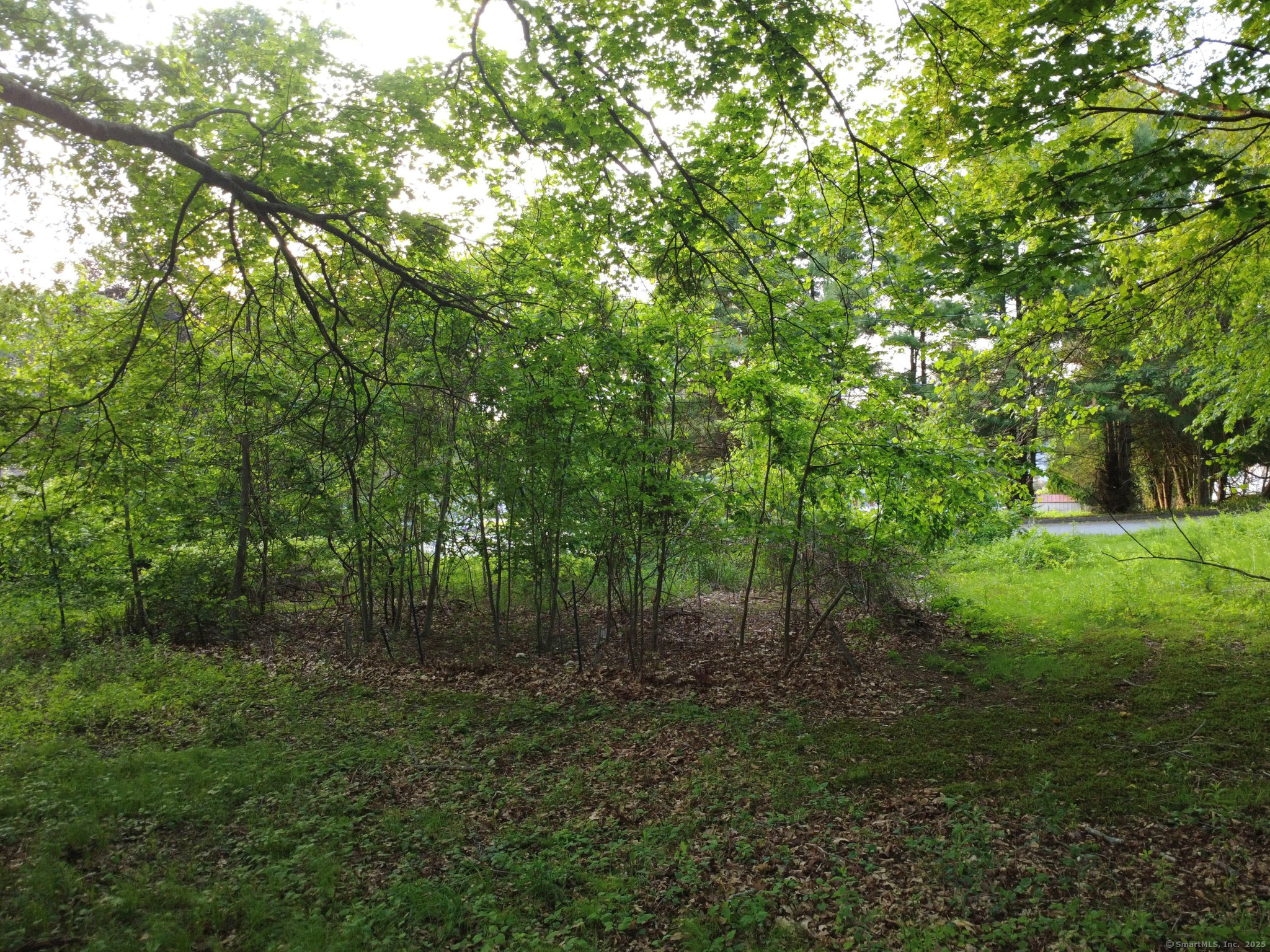 9 Newton Place, Norwich, Connecticut image 13