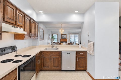 Tiny photo for 55 Mill Plain Road #9-2, Danbury, CT 06811 (MLS # 24211143)