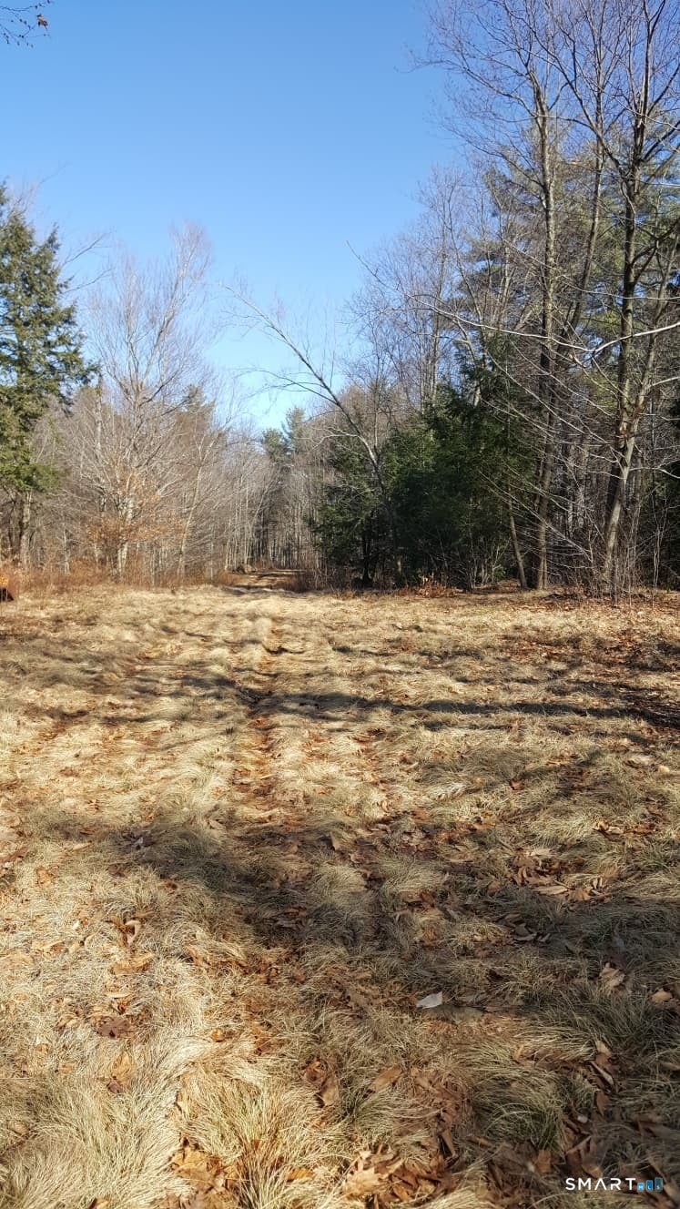 53 Flag Hill Road