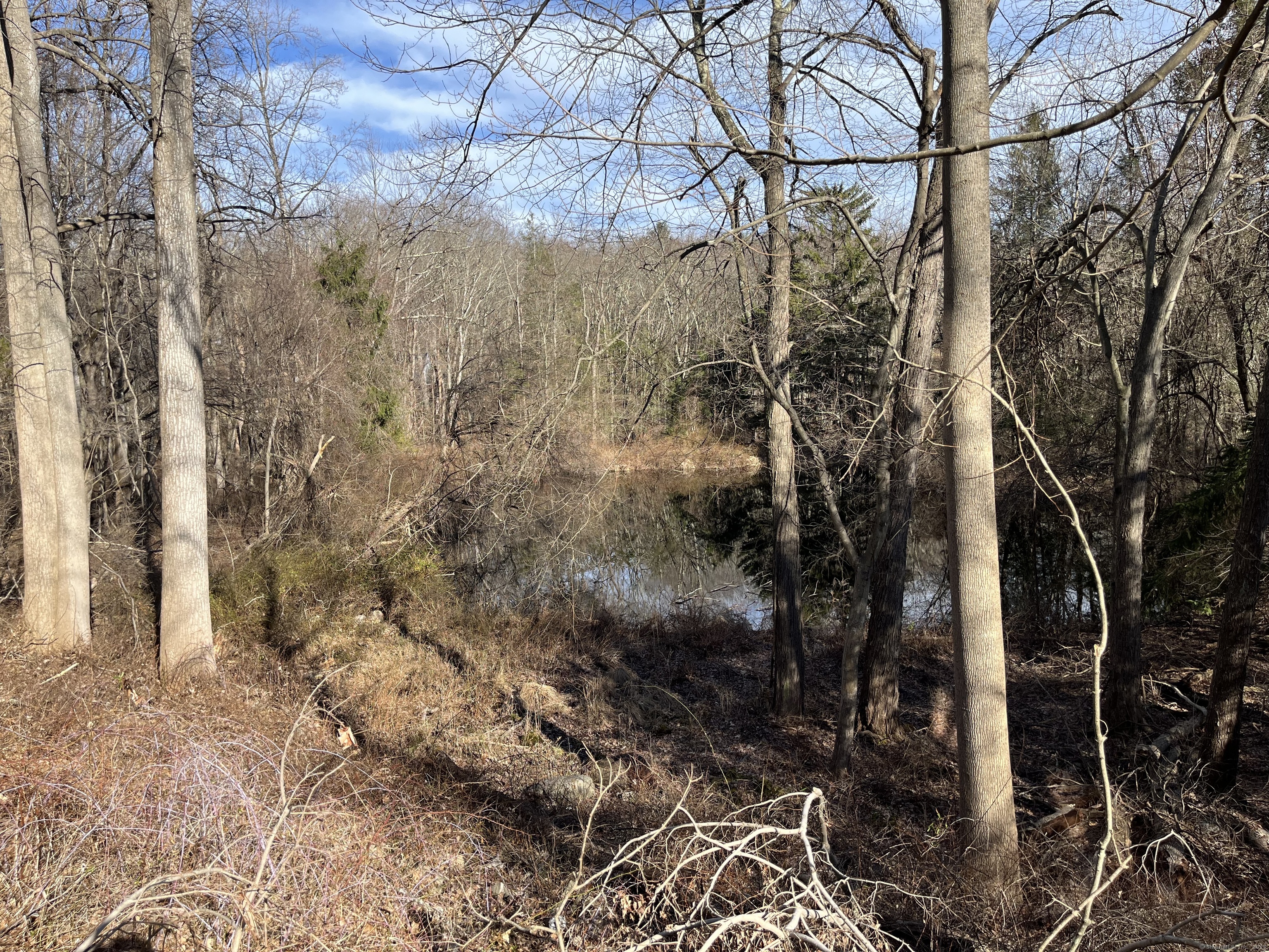305 Rimmon Road, Woodbridge, Connecticut image 3