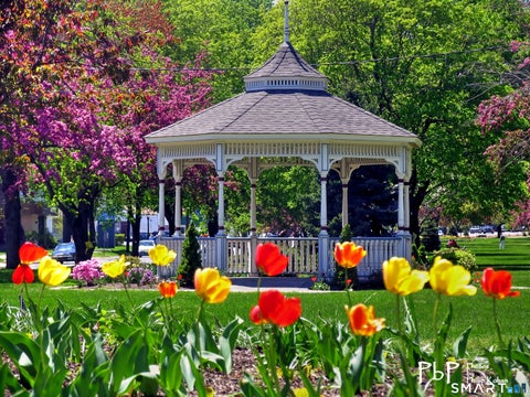 Tiny photo for 223 New Haven Avenue, Milford, CT 06460 (MLS # 24205391)