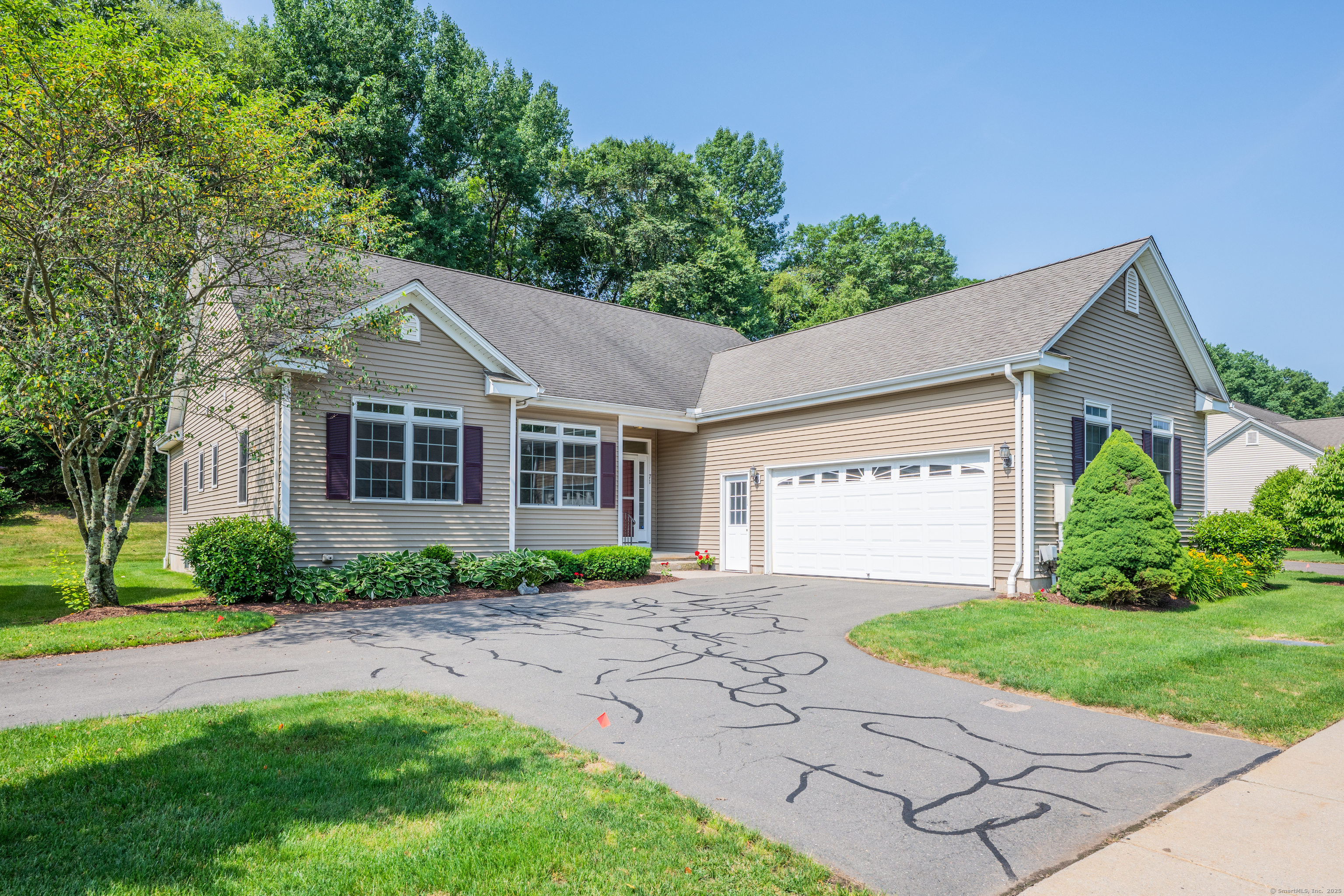 71 Lavender Lane