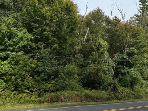 Vacant Land For Sale - 142 Turnpike Road<br/> Somers, CT 06071