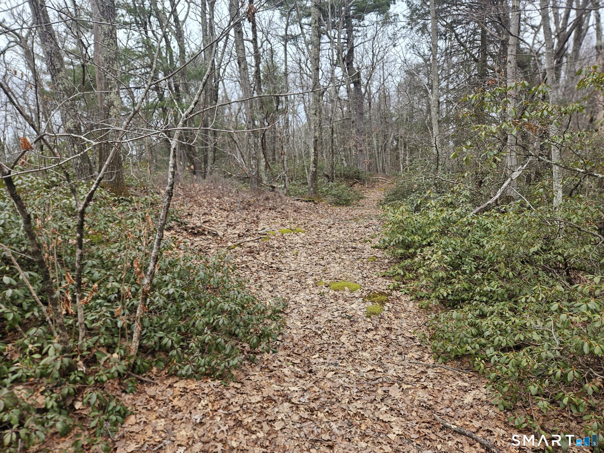 Windy Ridge Road