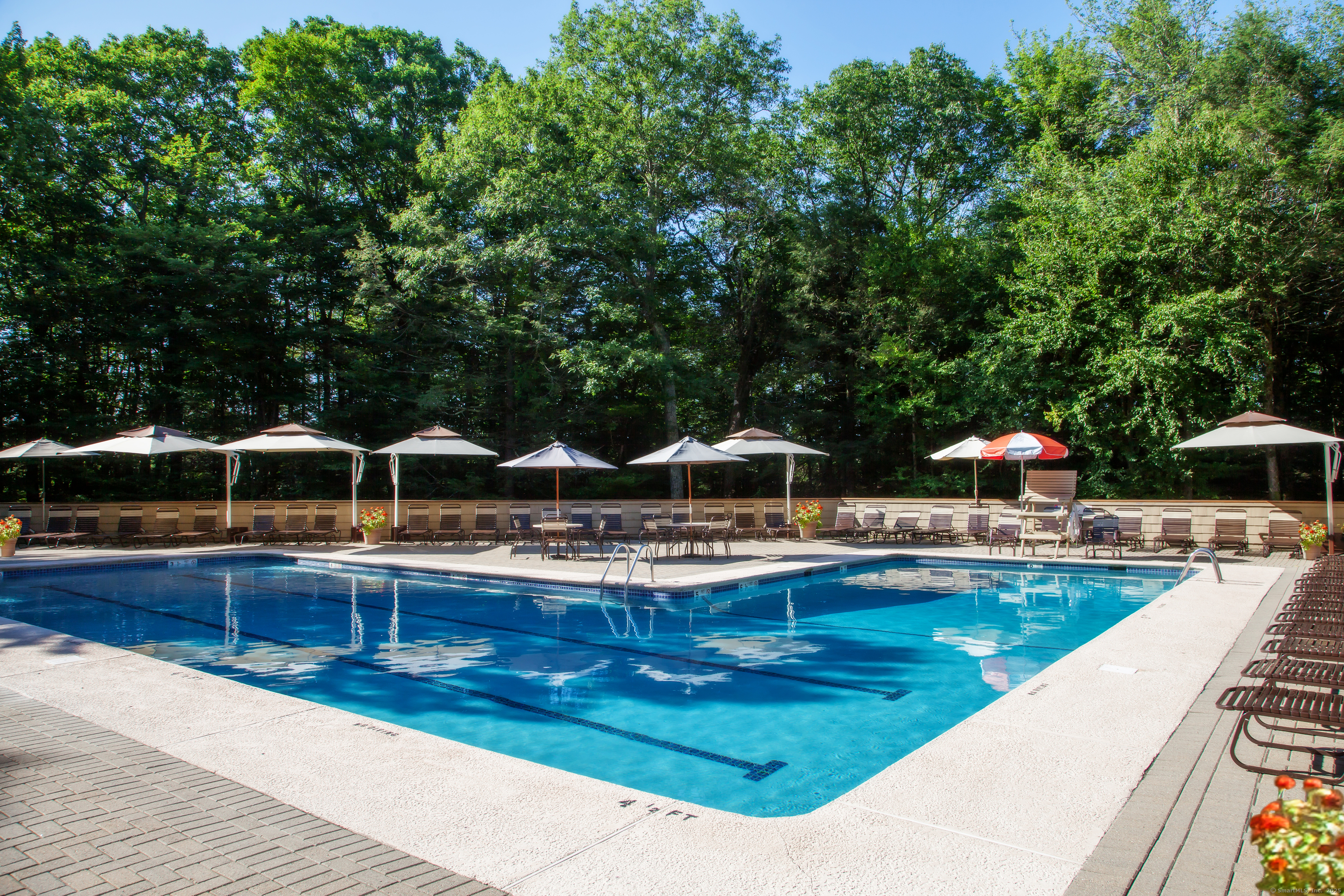 226 Ledge Drive, Torrington, Connecticut image 34