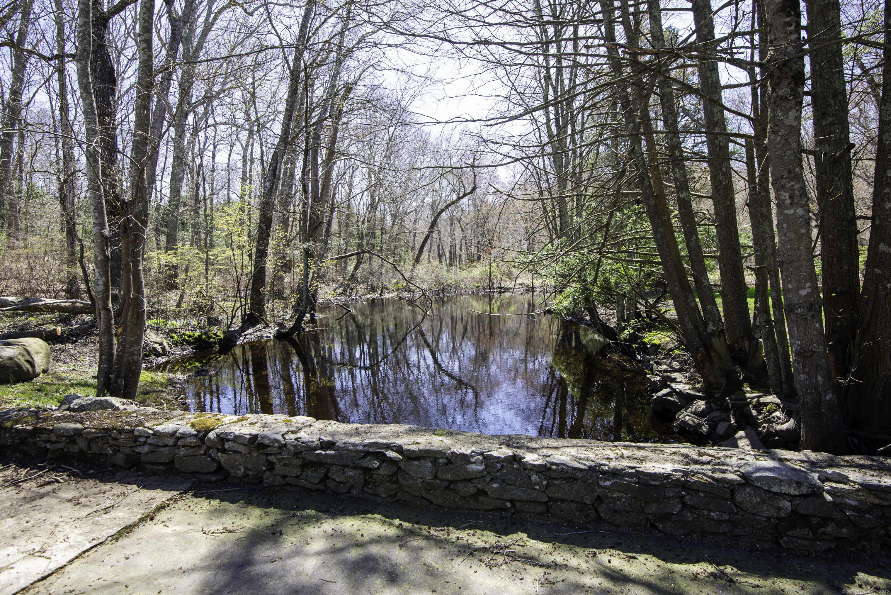 58 Evergreen Park, Clinton, Connecticut image 28