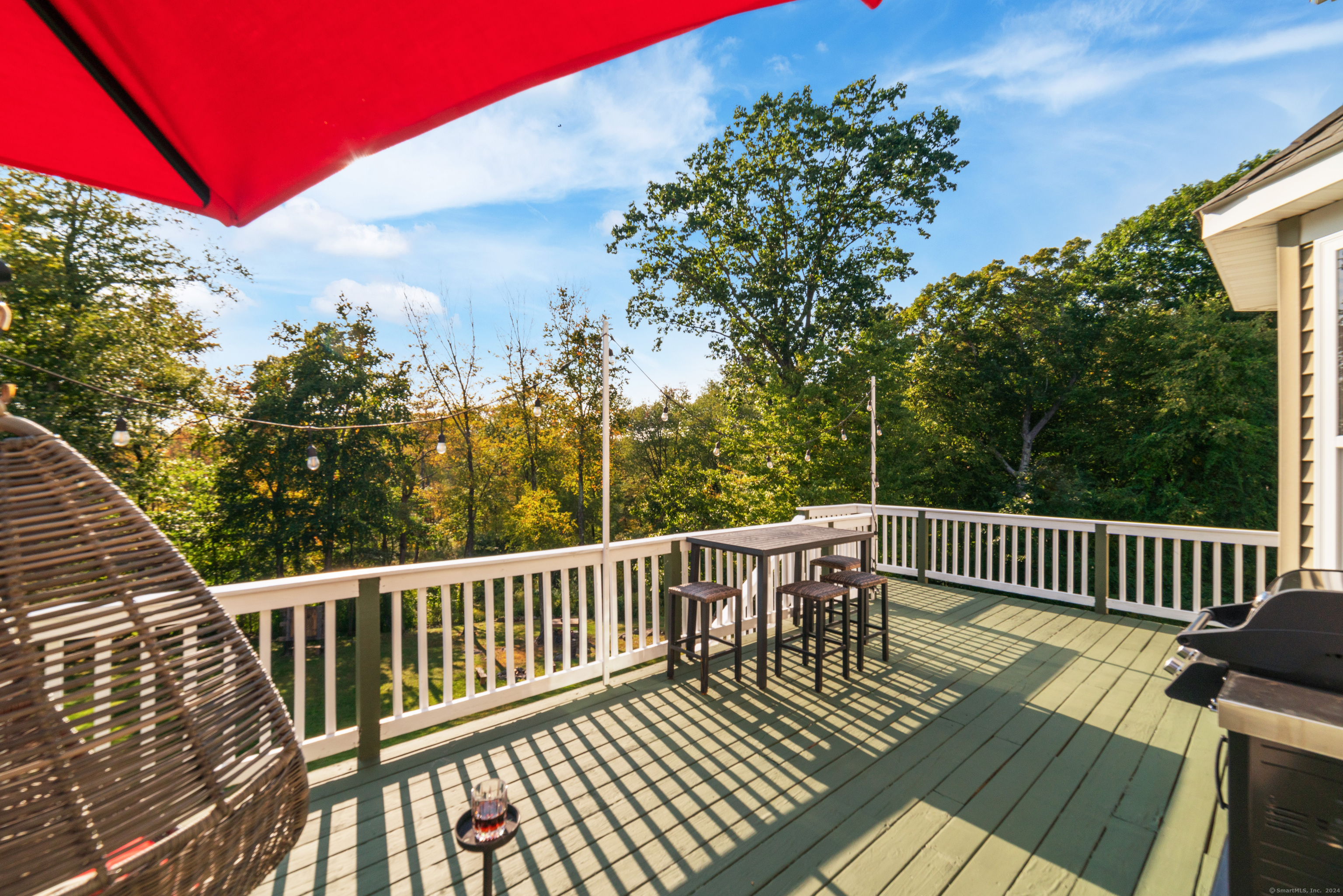 10 Stonington Court #10, Middlebury, Connecticut image 37