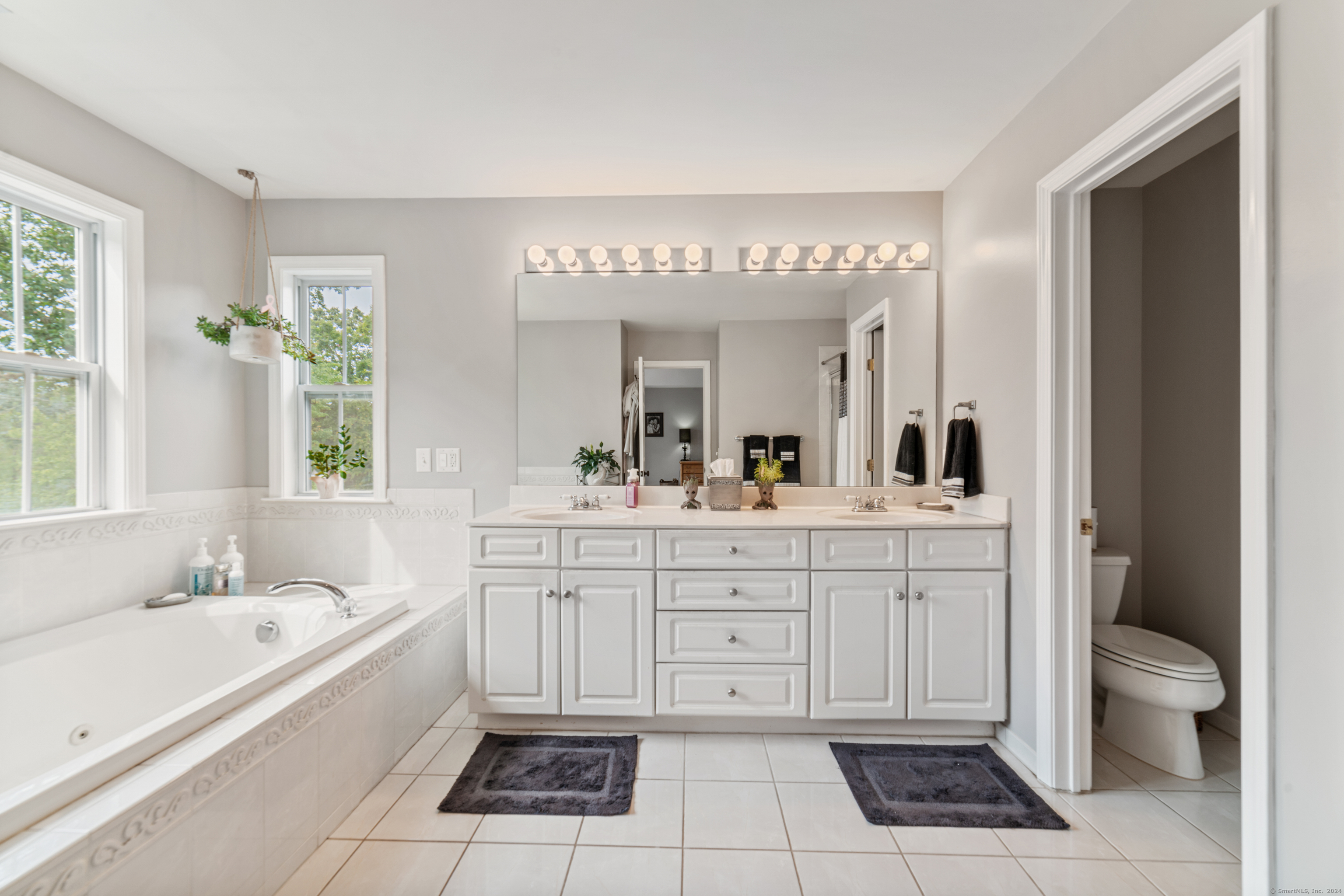 10 Stonington Court #10, Middlebury, Connecticut image 23