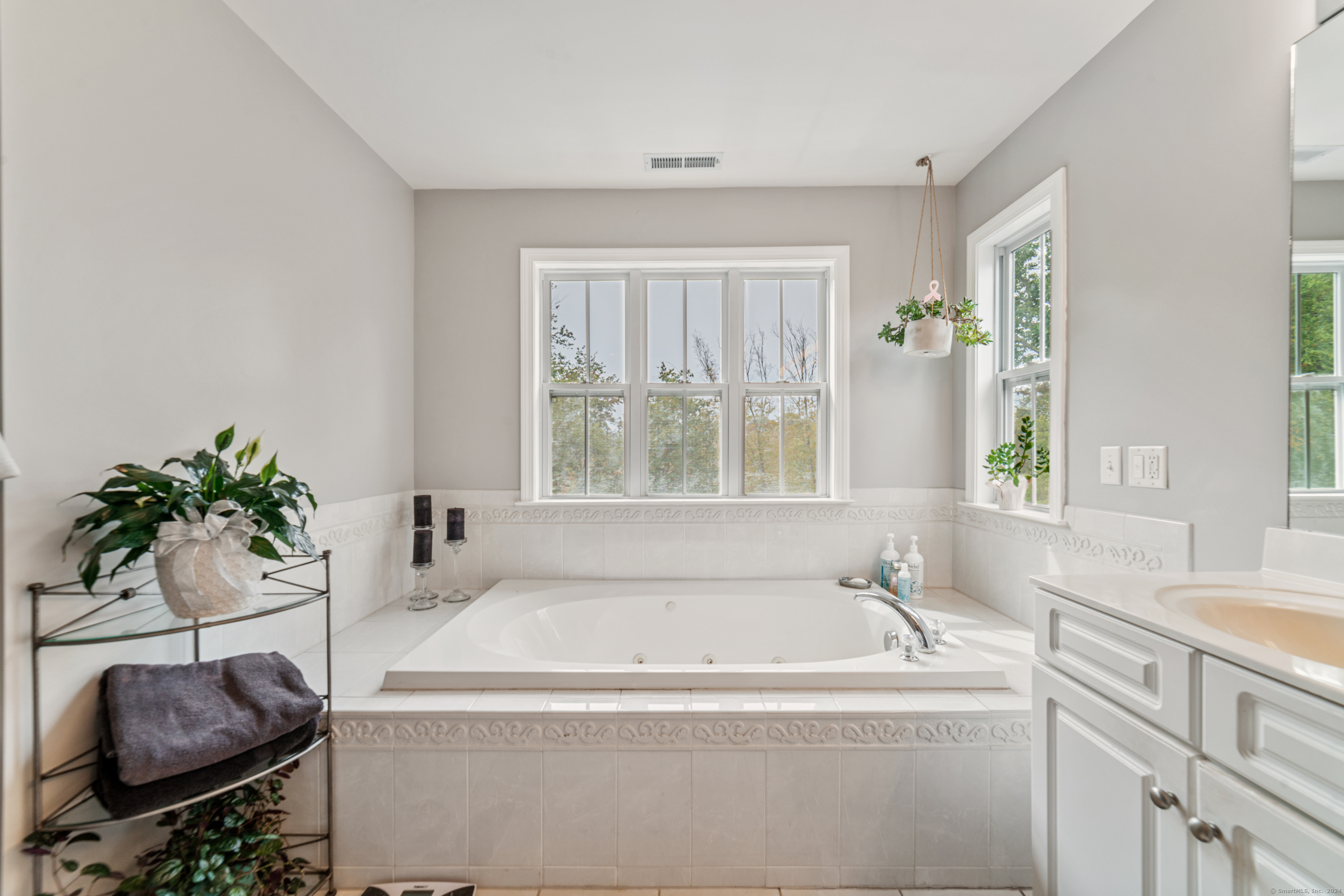 10 Stonington Court #10, Middlebury, Connecticut image 24