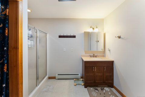 Tiny photo for 63 Buck Hill Road, Canterbury, CT 06331 (MLS # 24135942)
