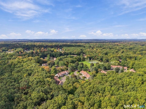 Tiny photo for 221 The Meadows #221, Enfield, CT 06082 (MLS # 24213158)