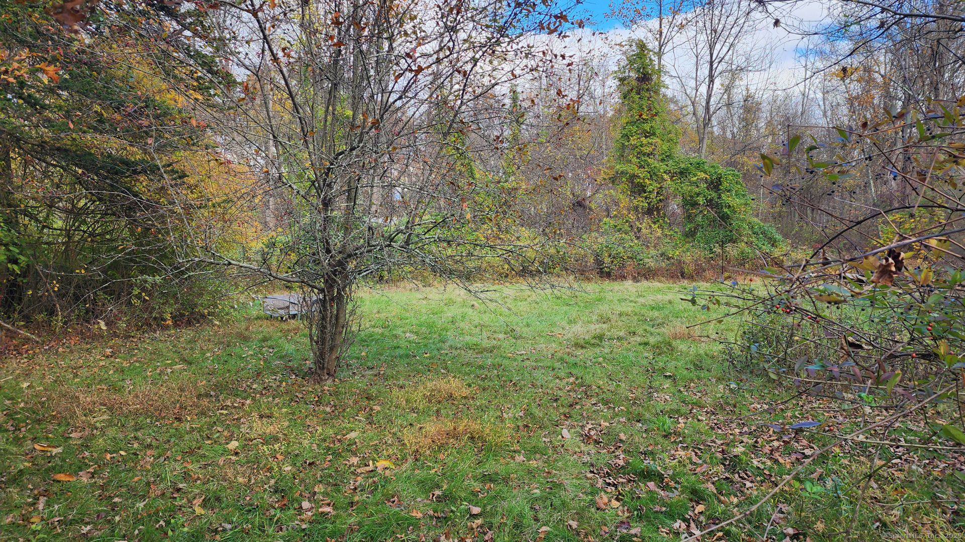 1116 Wallingford Road