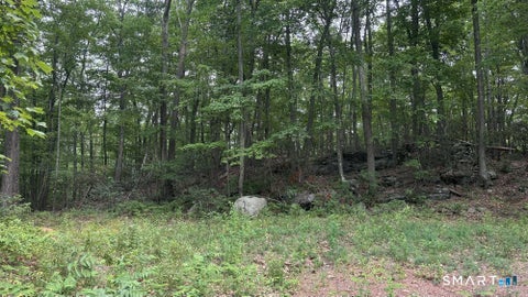 Tiny photo for 195 Silver Springs Drive, Haddam, CT 06441 (MLS # 24195964)