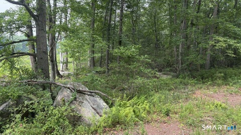 Tiny photo for 195 Silver Springs Drive, Haddam, CT 06441 (MLS # 24195964)