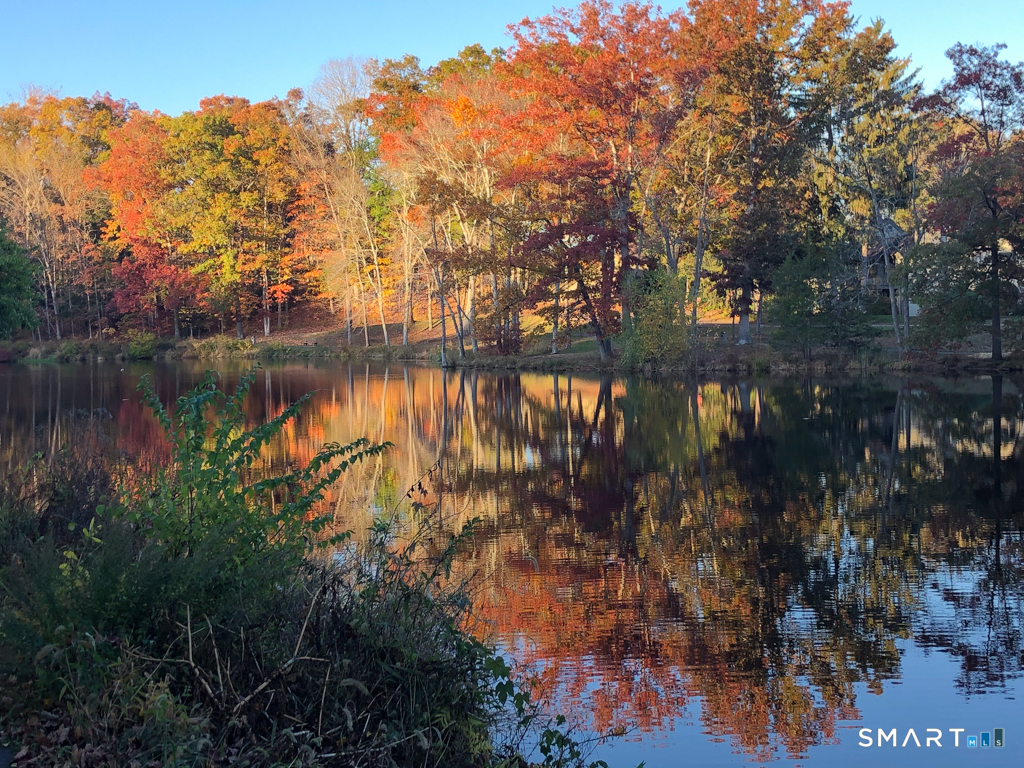 44 Heritage Village A